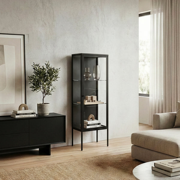 Vitrine Borshavisa 116x34x30 cm Acier Noir [en.casa]