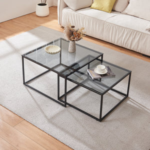 Table basse lot de 2 Tromlaslo verre fumé, gris [en.casa]