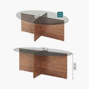 Table basse Viroya 100x60x36 cm aspect noyer/gris [en.casa]