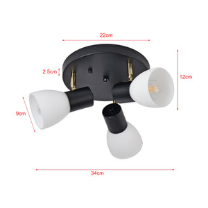 Plafonnier Abbey Noir / Blanc [lux.pro]