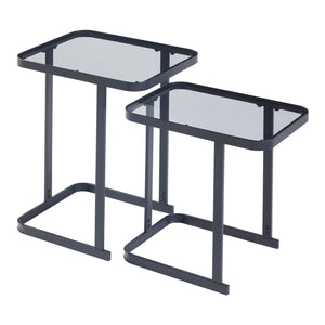 Table d'appoint Laxå lot de 2 en verre et métal noir [en.casa]