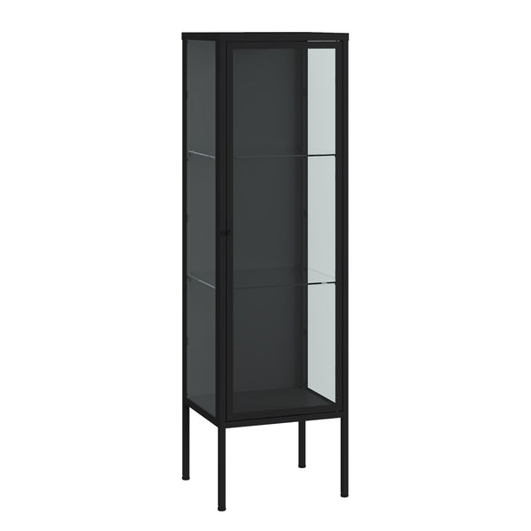 Vitrine Borshavisa 116x34x30 cm Acier Noir [en.casa]