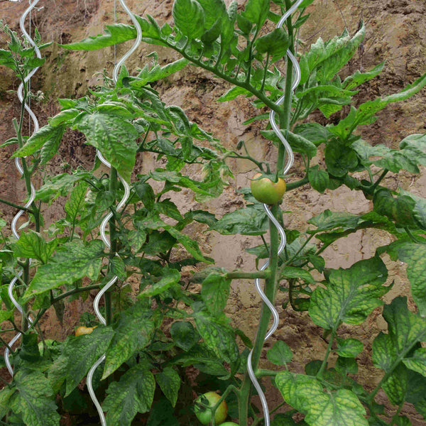 20x Tuteur à tomates tuteur en spirale support de plante tuteur de palissage [pro.tec]