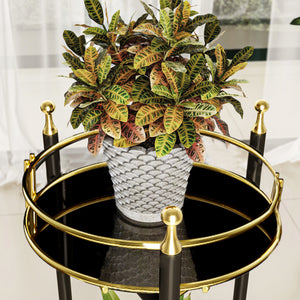 Support de plantes Oulainen à 2 niveaux métal 79 x 28 x 28 cm noir or [en.casa]