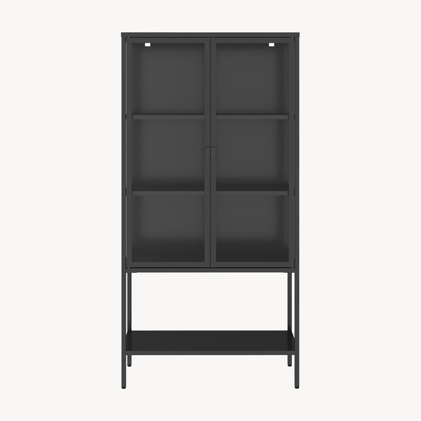 Vitrine Borshavisa en acier 2 portes 160x80x35 cm Noir [en.casa]