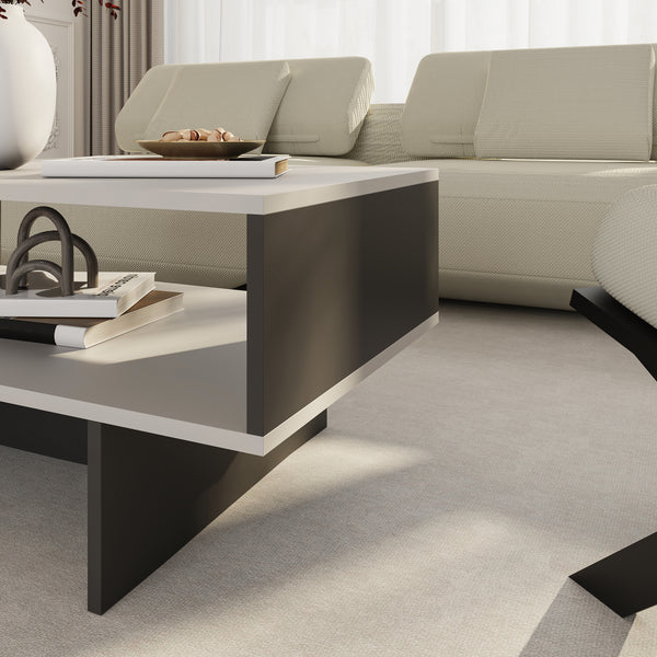 Table basse Mjölby 36,4x80x45 cm en différentes couleurs [en.casa]