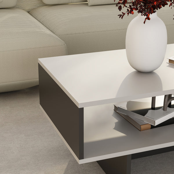 Table basse Mjölby 36,4x80x45 cm en différentes couleurs [en.casa]