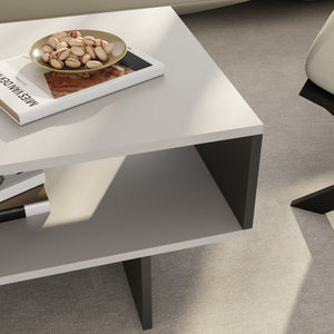 Table basse Mjölby 36,4x80x45 cm en différentes couleurs [en.casa]