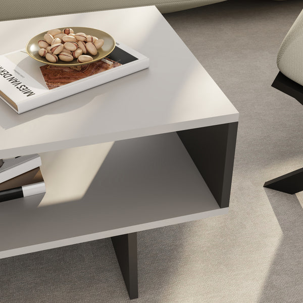Table basse Mjölby 36,4x80x45 cm en différentes couleurs [en.casa]