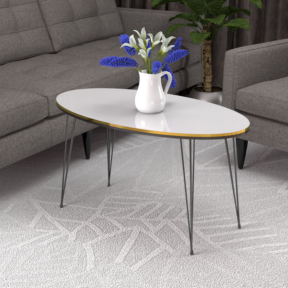 Table basse Hirtshals 41 x 90 x 50 cm en différentes couleurs [en.casa]