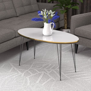 Table basse Hirtshals 41 x 90 x 50 cm en différentes couleurs [en.casa]