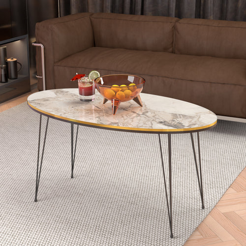 Table basse Hirtshals 41 x 90 x 50 cm en différentes couleurs [en.casa]