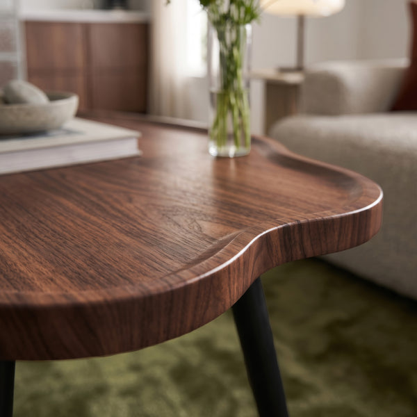 Table basse de salon Trestaneng 100 x 60 x 47 cm effet noyer [en.casa]