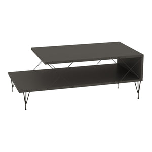 Table basse de salon Asker avec étagère panneau de particules métal 100 x 50 x 40 cm [en.casa]