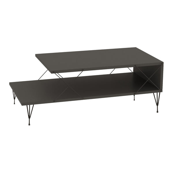 Table basse de salon Asker avec étagère panneau de particules métal 100 x 50 x 40 cm [en.casa]