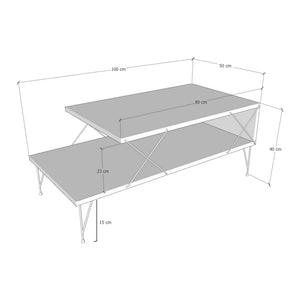 Table basse de salon Asker avec étagère panneau de particules métal 100 x 50 x 40 cm [en.casa]