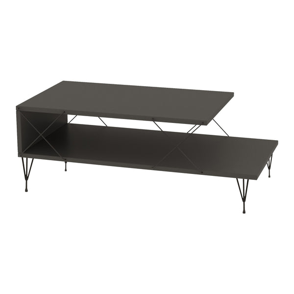 Table basse de salon Asker avec étagère panneau de particules métal 100 x 50 x 40 cm [en.casa]