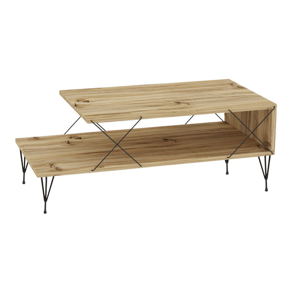 Table basse Asker 100x50x40 cm [en.casa]