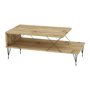 Table basse Asker 100x50x40 cm [en.casa]