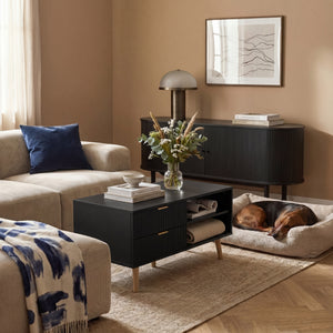 Table basse de salon Nand 100 x 50 x 45 cm [en.casa]