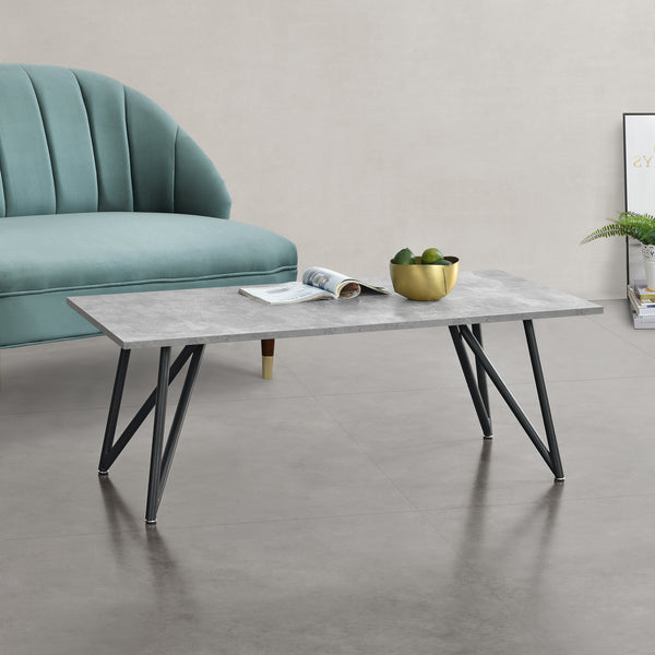 Table Basse Säter 120 x 60 x 45 cm Couleurs différentes [en.casa]