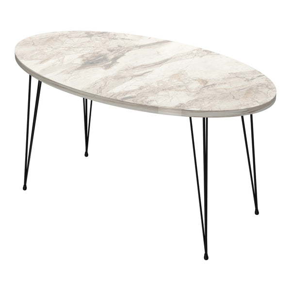 Table basse Skævinge 43x90x50cm en différentes couleurs [en.casa]
