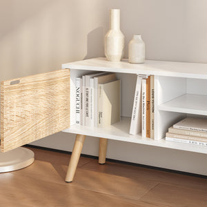 Meuble TV Eskilstuna avec 2 portes d'armoire et 2 étagères [en.casa]