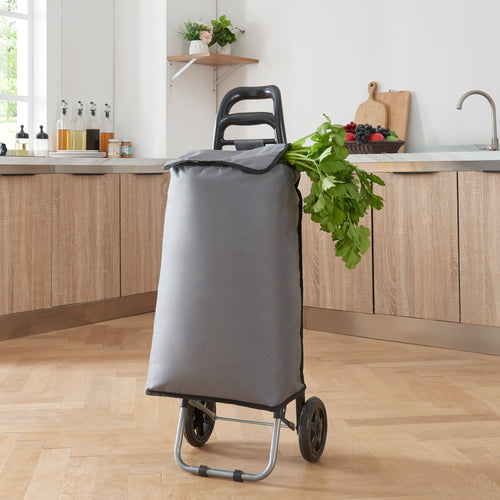 Chariot de courses pliable Aaby 36 L [en.casa]