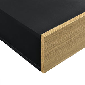 Étagère Murale à Compartiment Fermé Antilles 50x24x12cm [en.casa]