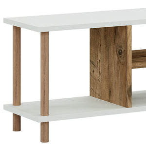 Meuble TV Ærøskøbing avec espace de rangement 43 x 120 x 29 cm [en.casa]