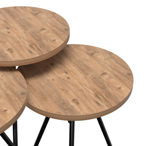 Set de 3 tables d'appoint Ølgod rondes gigognes [en.casa]