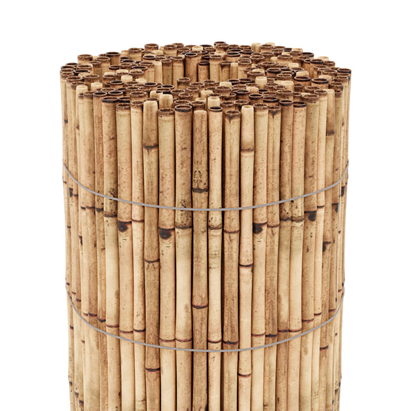 Canisse en roseau Allzio casa.pro 