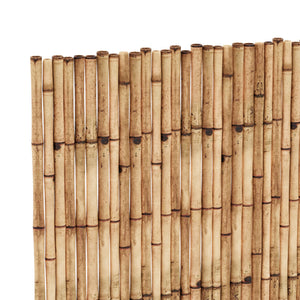 Canisse en roseau Allzio casa.pro 