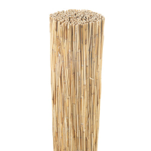 Canisse en roseau Abbateggio casa.pro