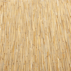 Canisse en roseau Abbateggio casa.pro