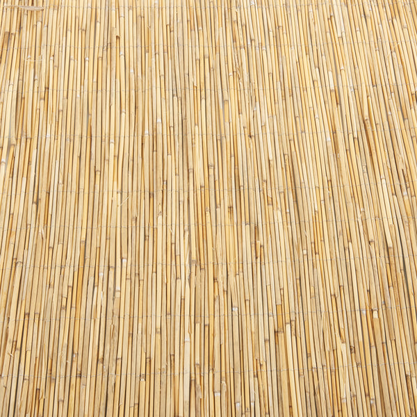 Canisse en roseau Abbateggio casa.pro