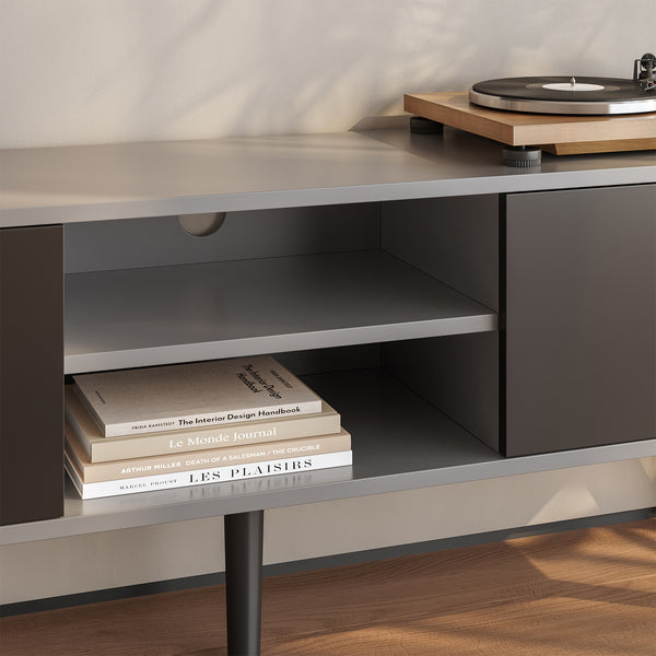 Meuble TV Eskilstuna 120 x 30 x 47 cm Plusieurs couleurs [en.casa]