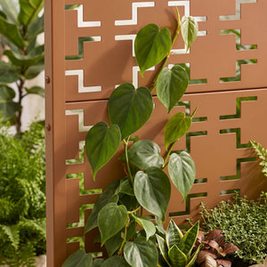 Cloison avec jardinière Aaskis casa.pro
