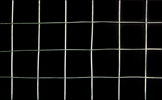 Clôture en treillis métallique 1x25 m/rouleau Acier galvanisé Gris pro.tec